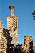 Rabat - La necropoli di Chellah, Minareto della moschea ricoperto da un nido di cicogna. 